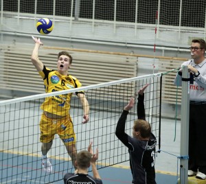 Tapio Toiviainen